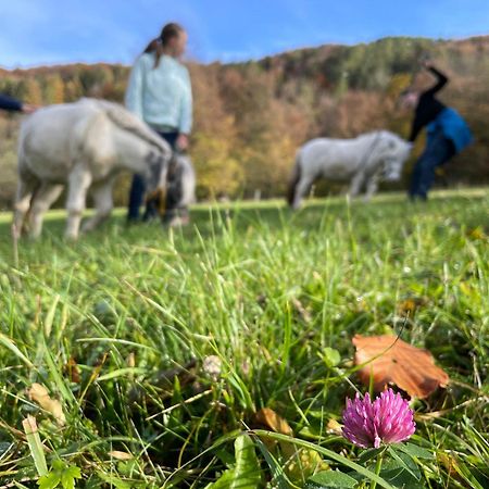 Buechlhof - App. Breitenstein Lilienfeld Exteriör bild